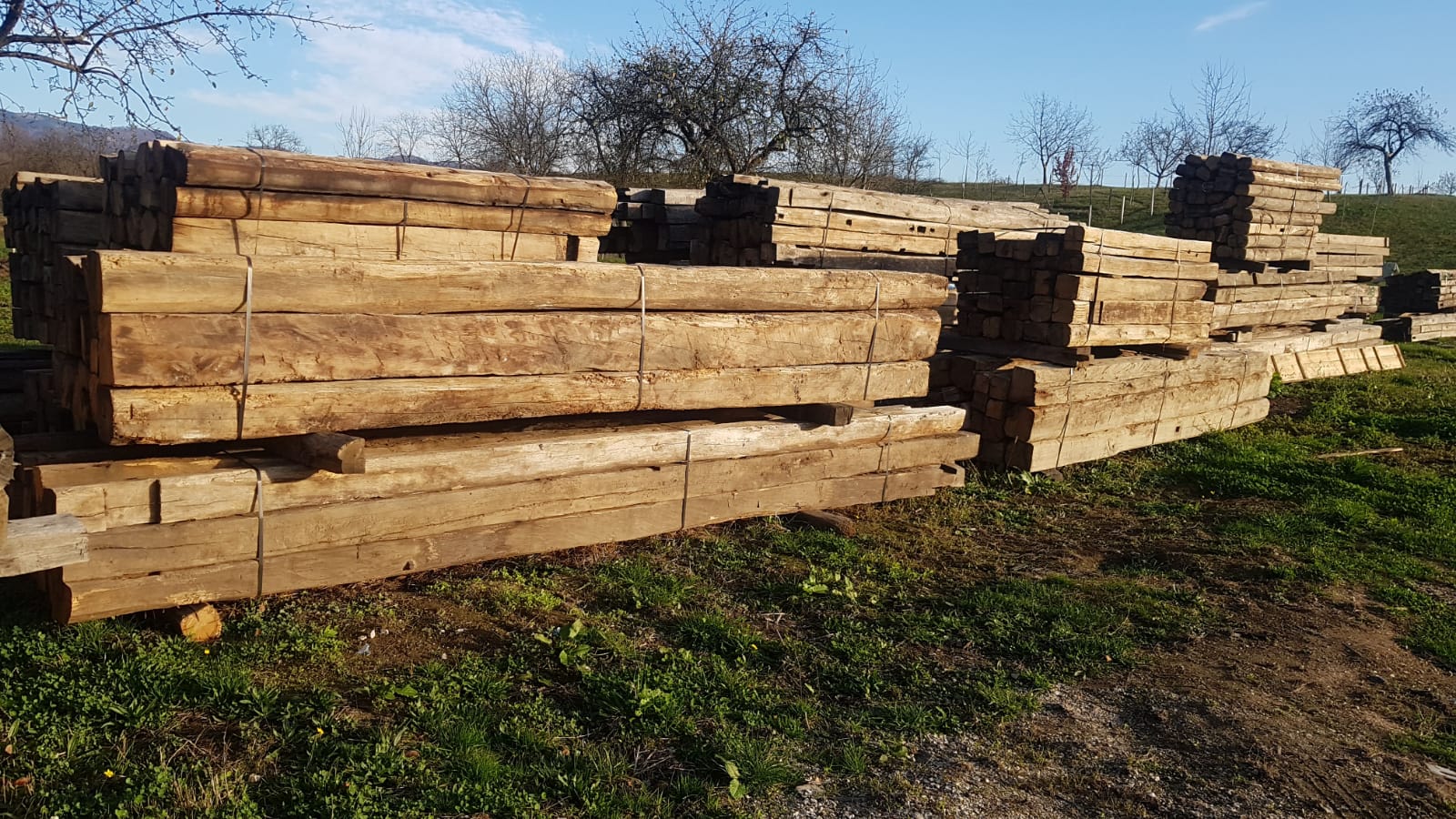 Large volume stock, antique oak beams sorted and prepared