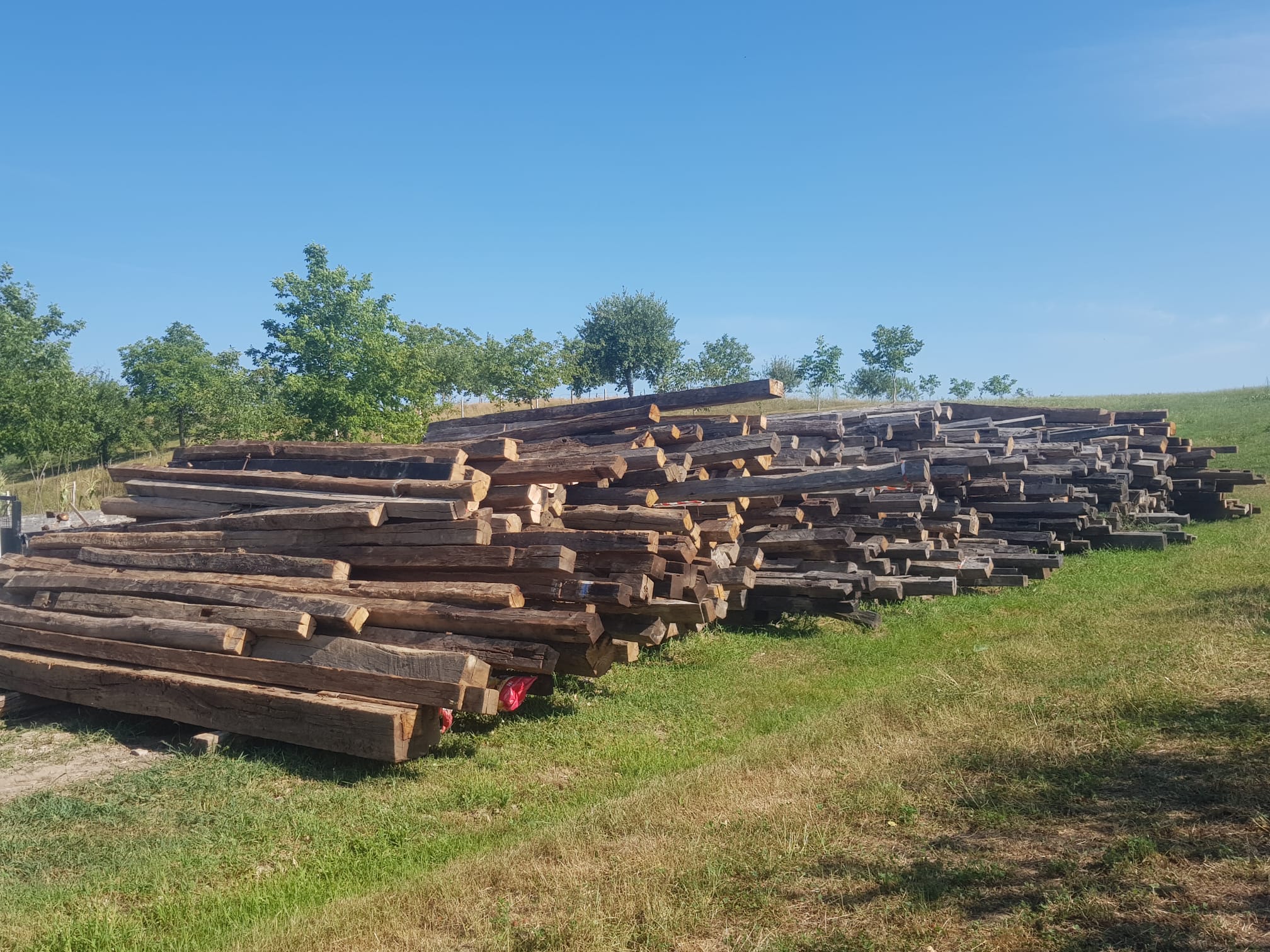Field stock, Transylvanian antique oak, large volume available