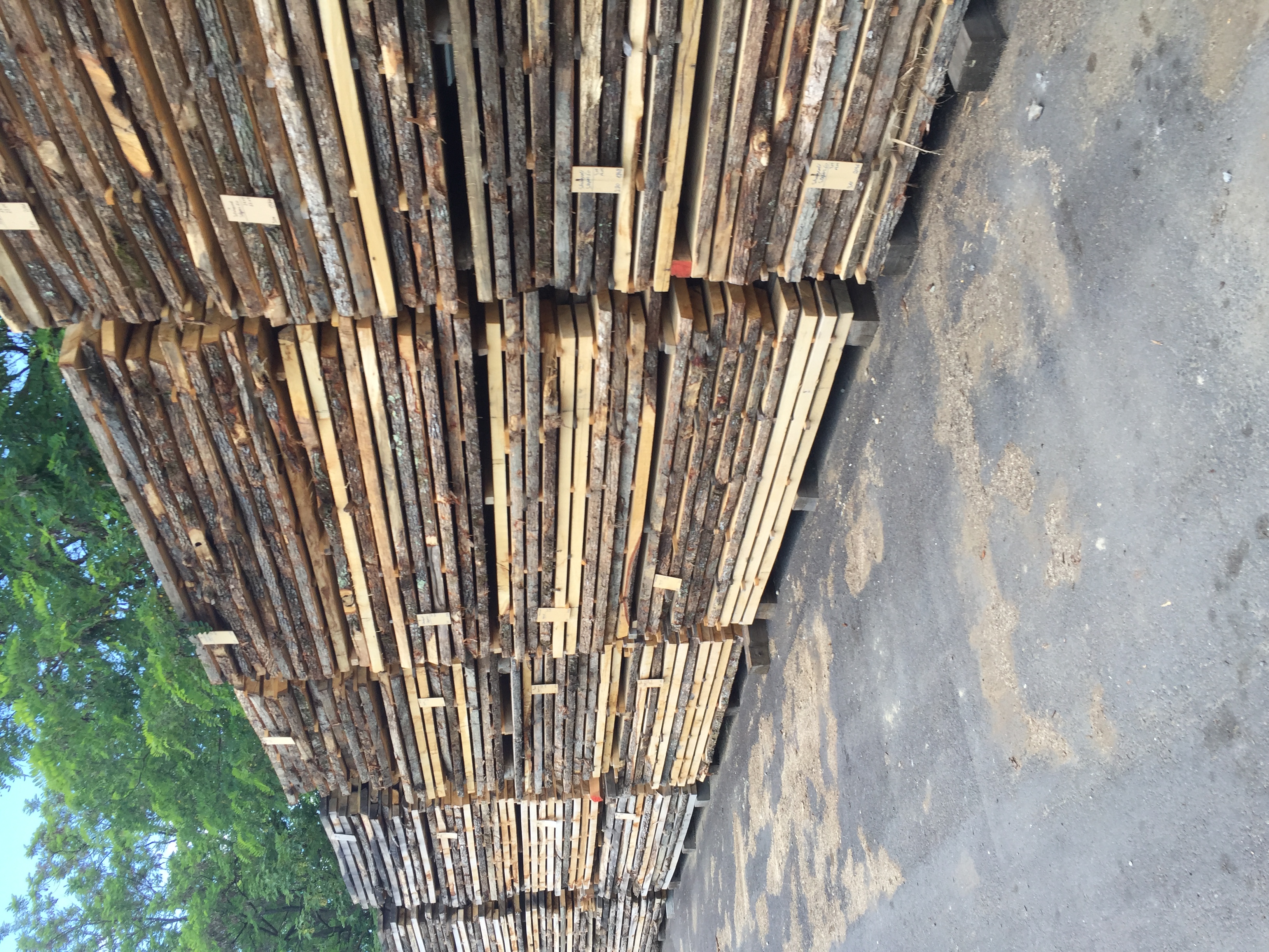 European oak lumber stock selected for drying and grading