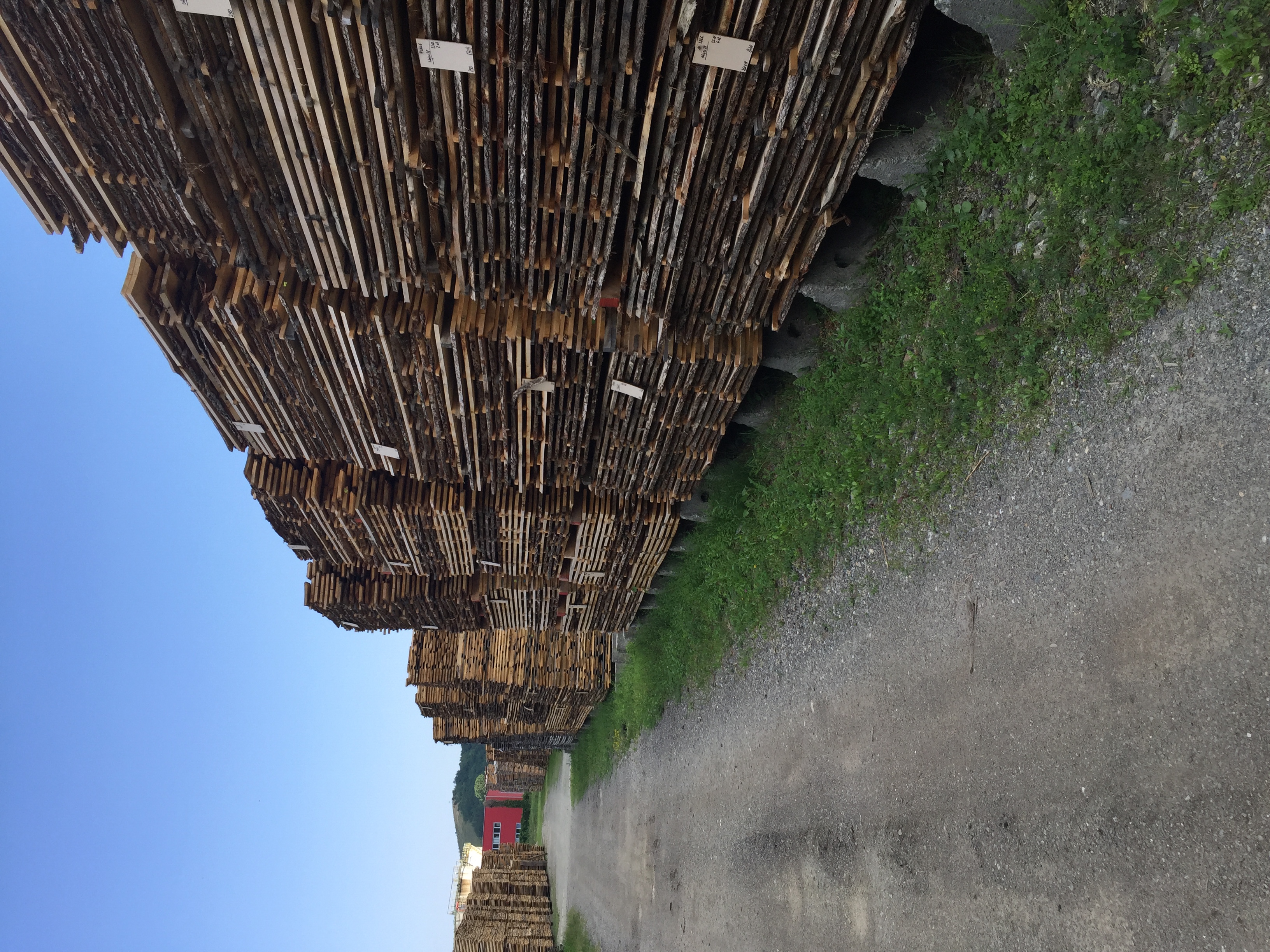 Large volume European white oak boards in lumber yard storage