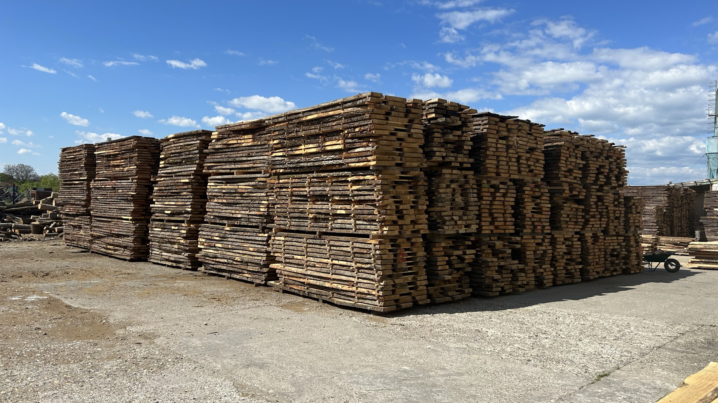 Bulk European oak lumber yard with large batch stock